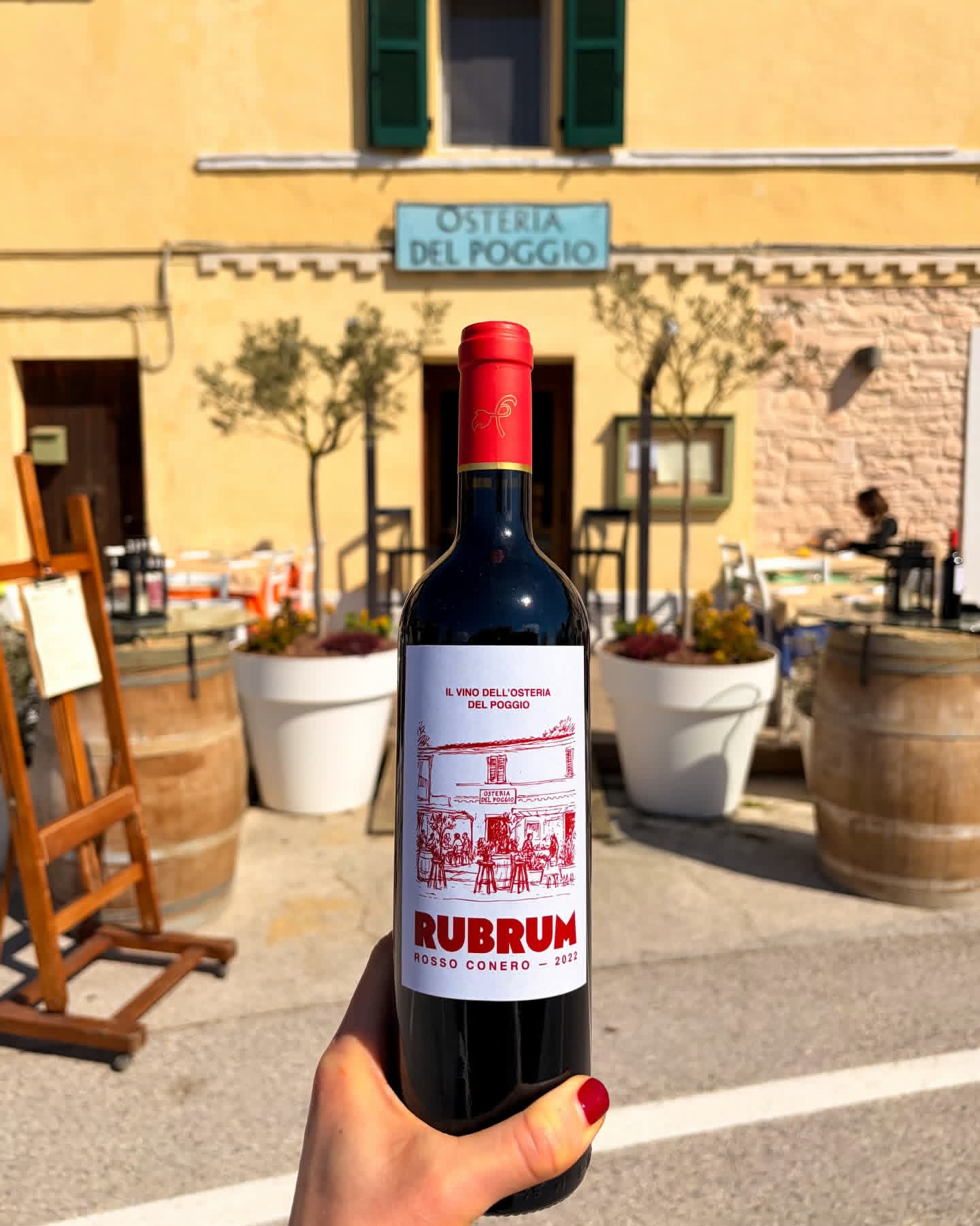 Rubrum, Rosso Conero, il vino dell'Osteria del Poggio